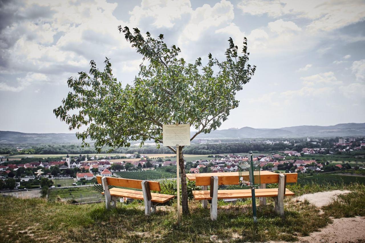 Bed and Breakfast Schmankerl und Gast Rohrendorf bei Krems Exterior foto